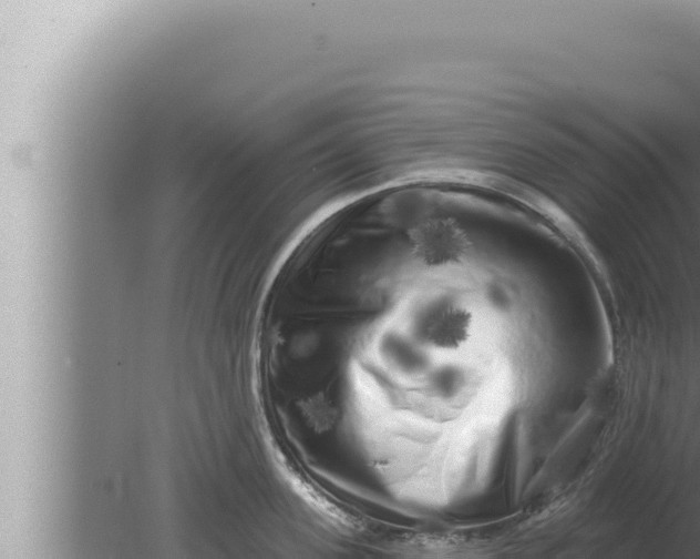 X0000080100955200612221735