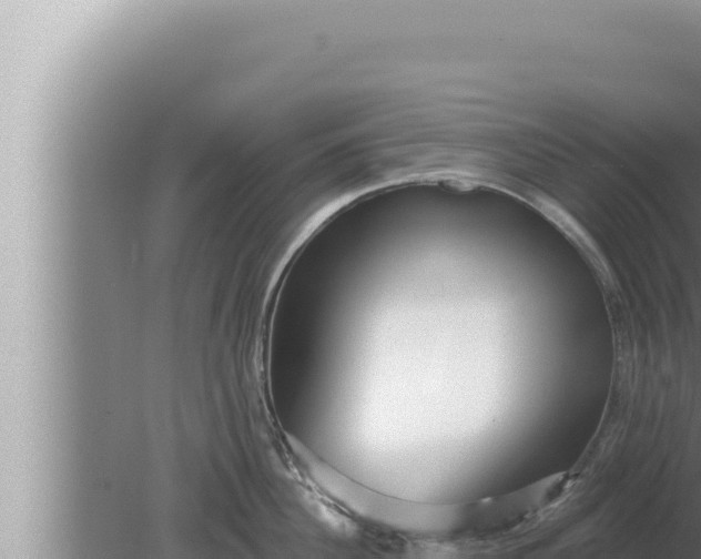 X0000080100956200612221735