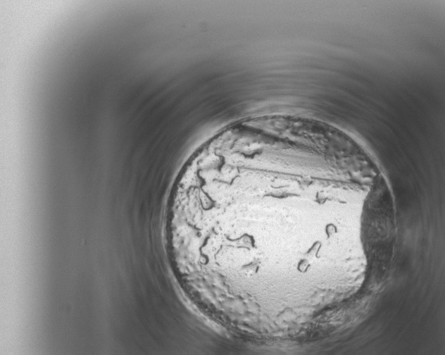 X0000080100957200612221735