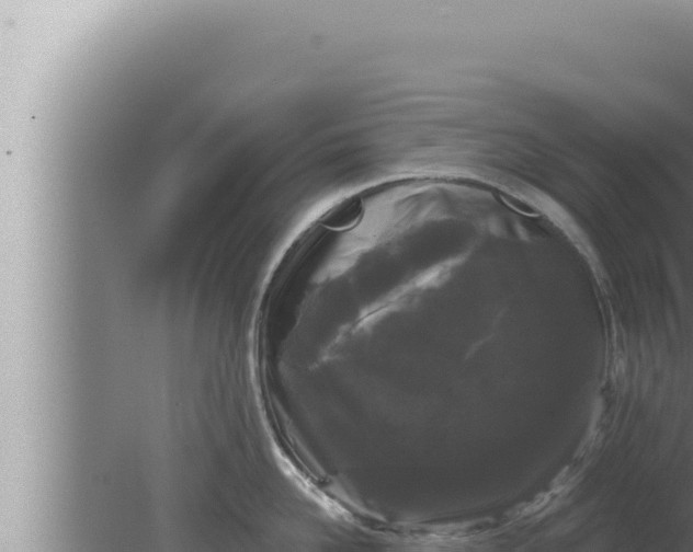 X0000080100958200612221735