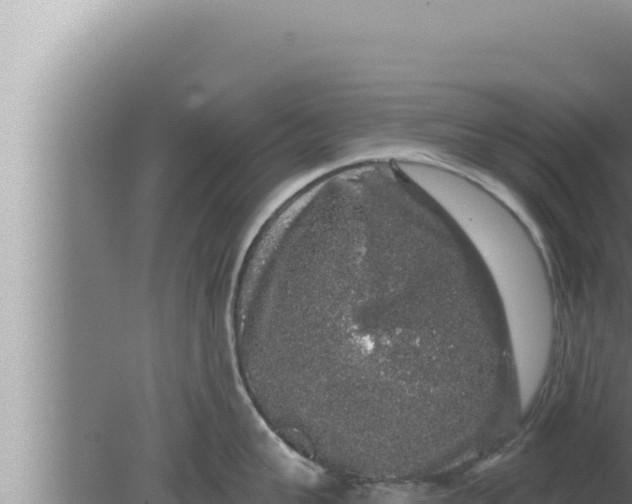 X0000080100959200612221735