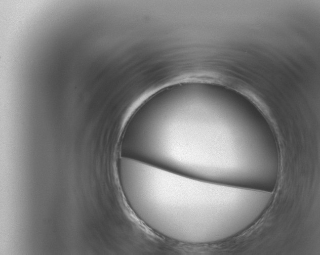 X0000080100960200612221735