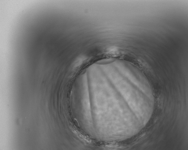 X0000080100961200612221734