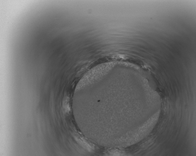 X0000080100962200612221734