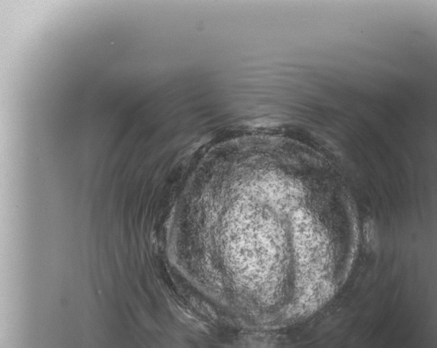 X0000080100963200612221734