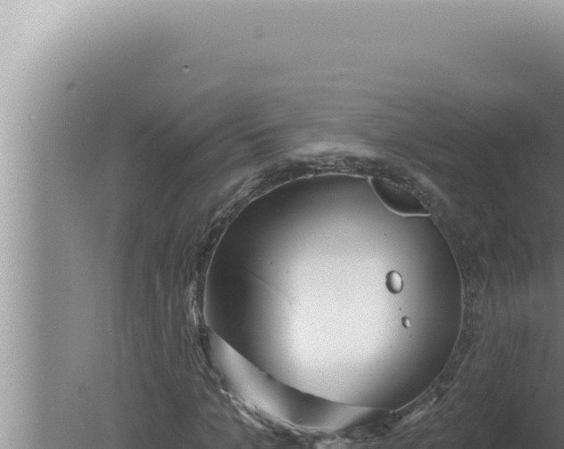 X0000080100965200612221734