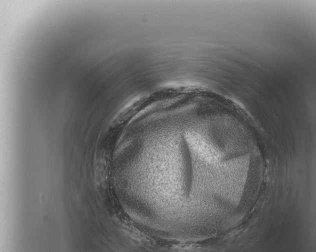 X0000080100967200612221734