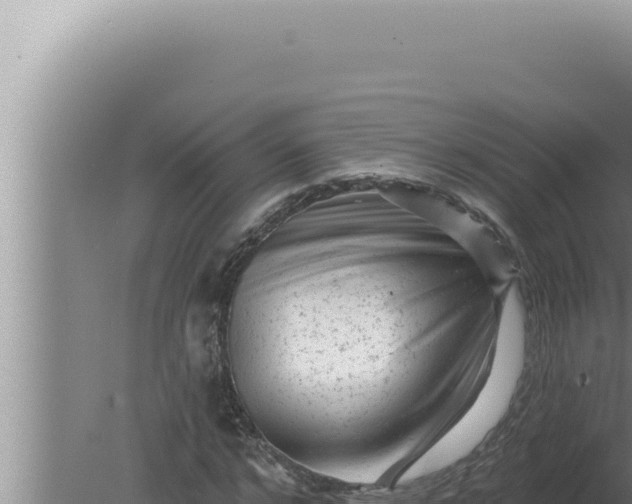 X0000080100968200612221734