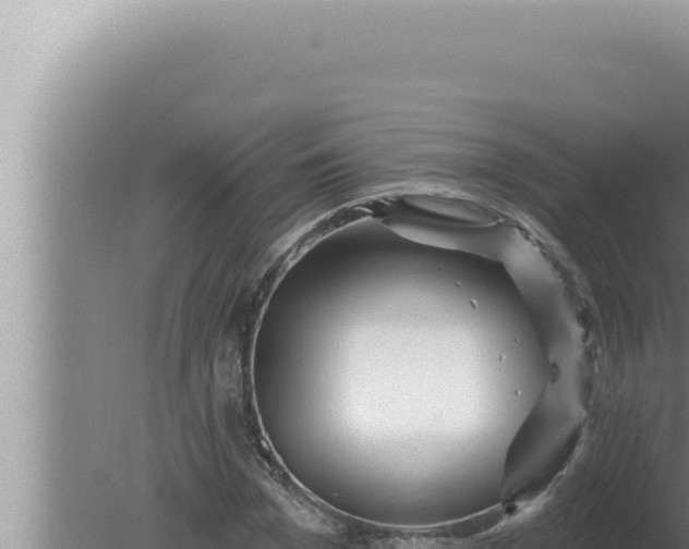 X0000080100969200612221734