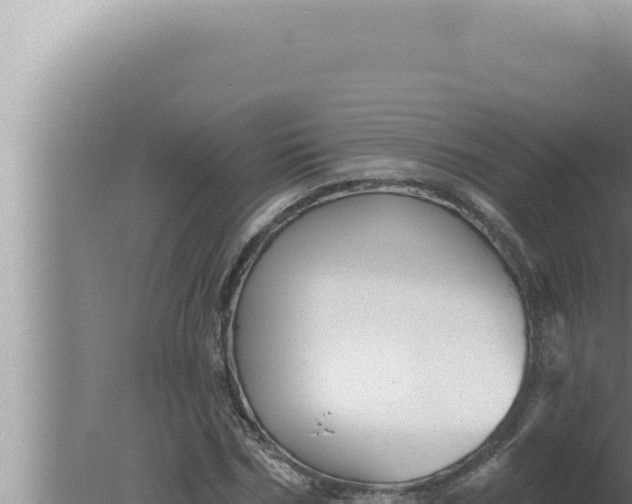 X0000080100970200612221734