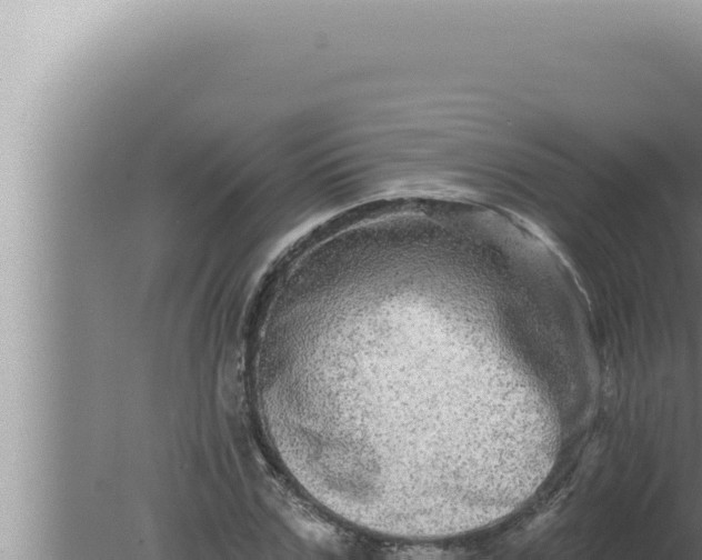 X0000080100971200612221734