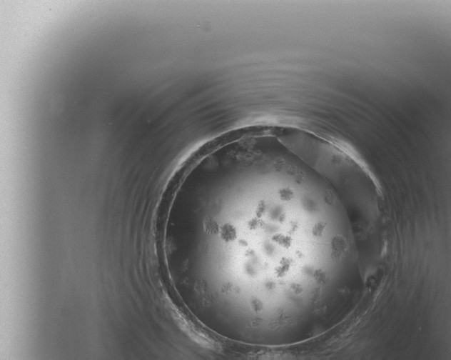 X0000080100972200612221734