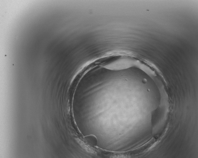 X0000080100973200612221734