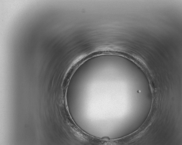 X0000080100974200612221734