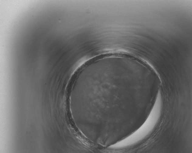 X0000080100975200612221734