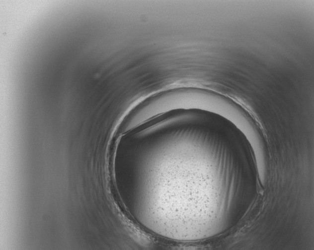 X0000080100976200612221734