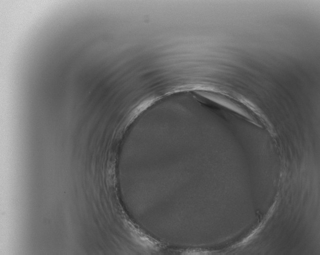 X0000080100977200612221734