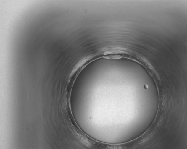 X0000080100978200612221734