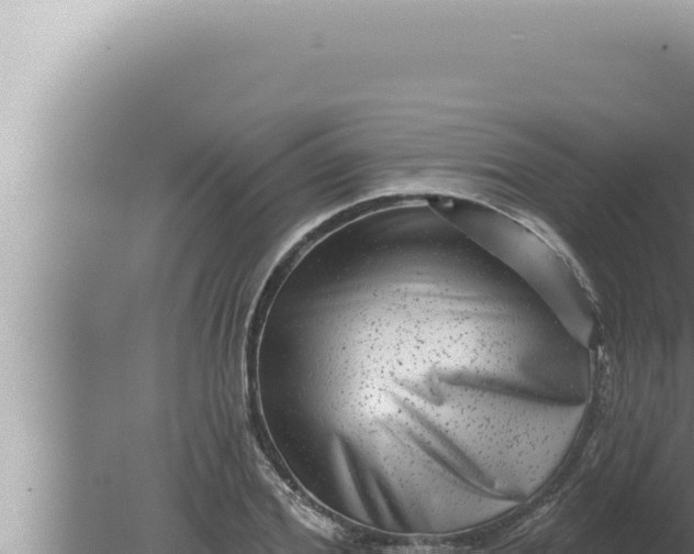 X0000080100980200612221734