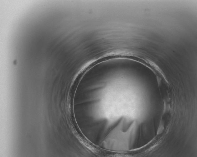 X0000080100981200612221734