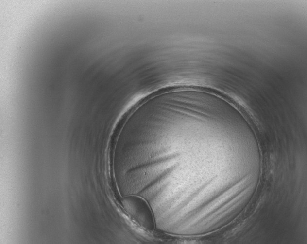 X0000080100982200612221734