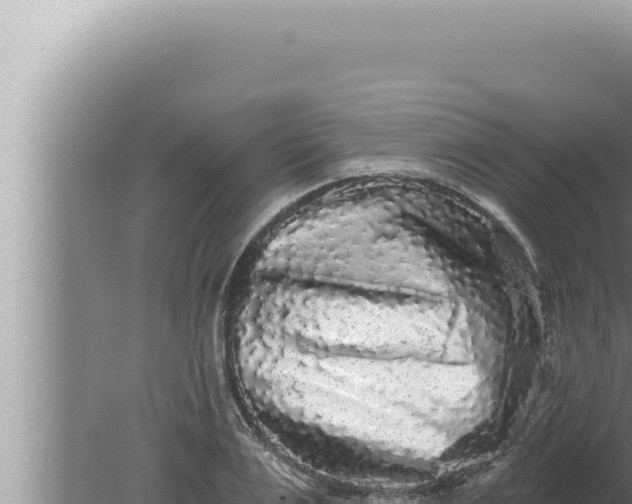 X0000080100983200612221734