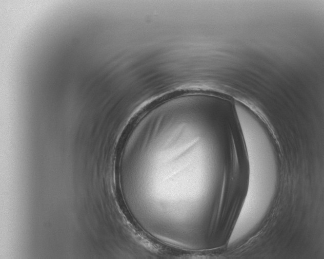 X0000080100984200612221734