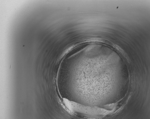 X0000080100985200612221734