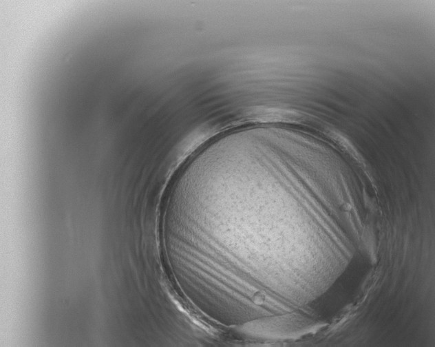 X0000080100986200612221734