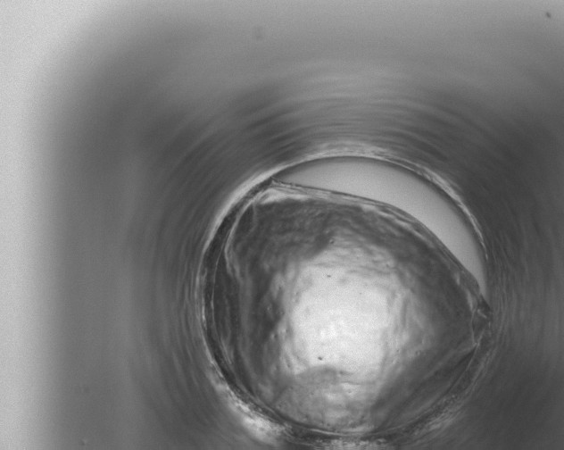 X0000080100987200612221734