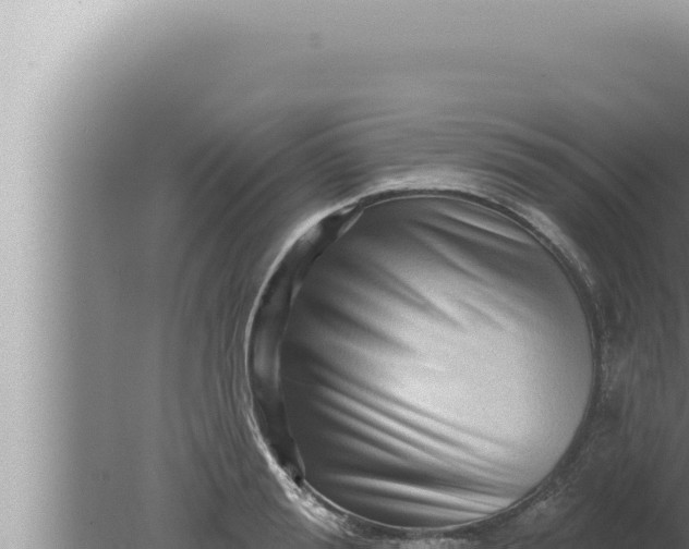 X0000080100988200612221734