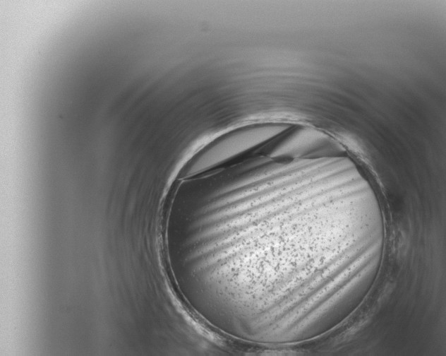 X0000080100989200612221734