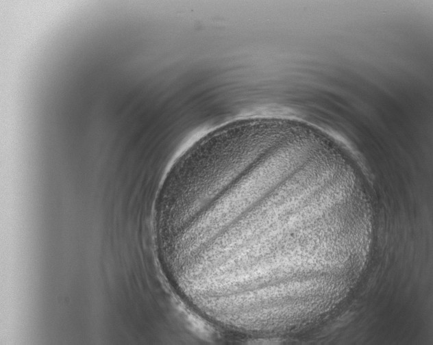 X0000080100990200612221734