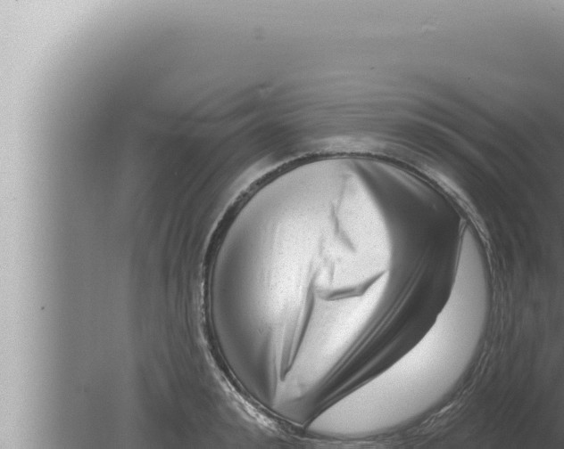 X0000080100992200612221734