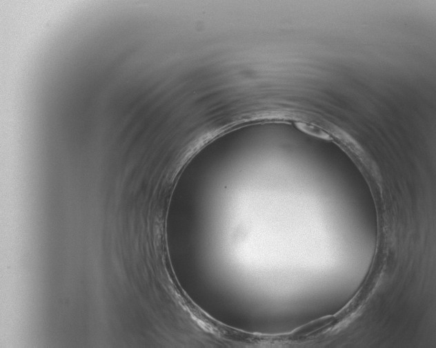 X0000080100993200612221734