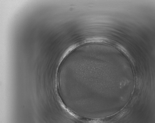 X0000080100994200612221734