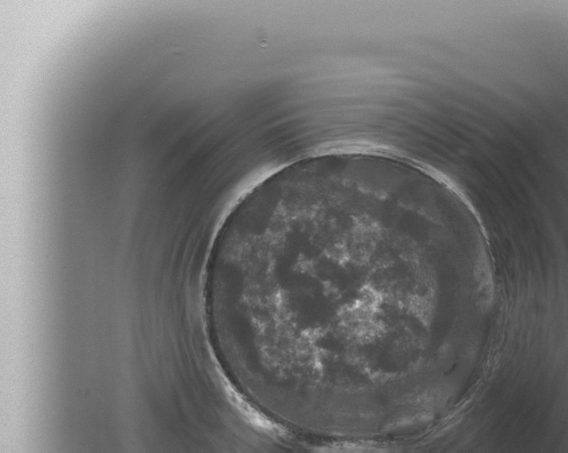 X0000080100995200612221734