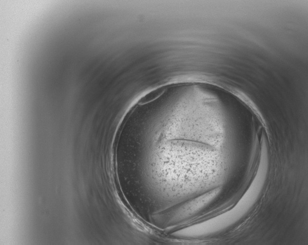 X0000080100996200612221734