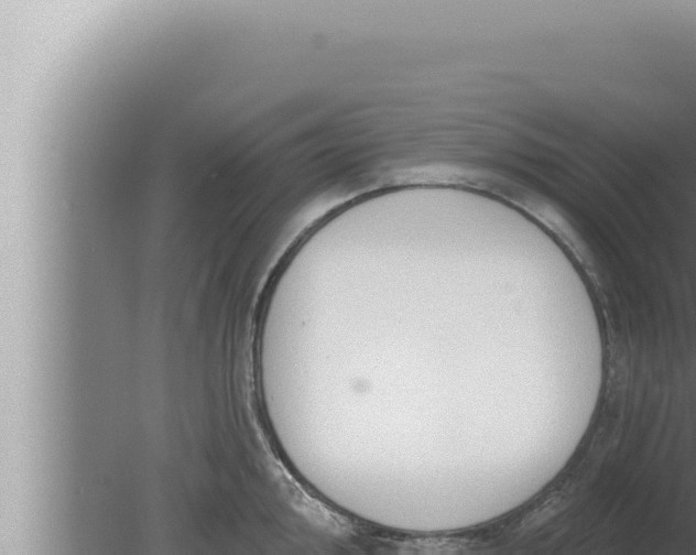 X0000080101000200612221734