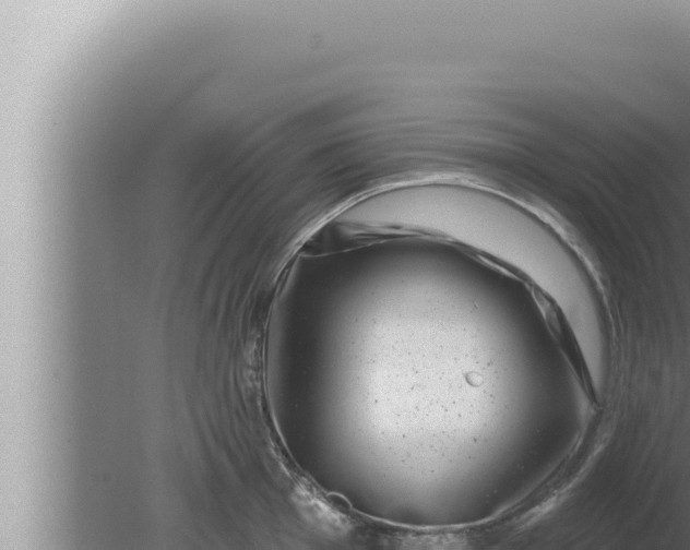 X0000080101001200612221734