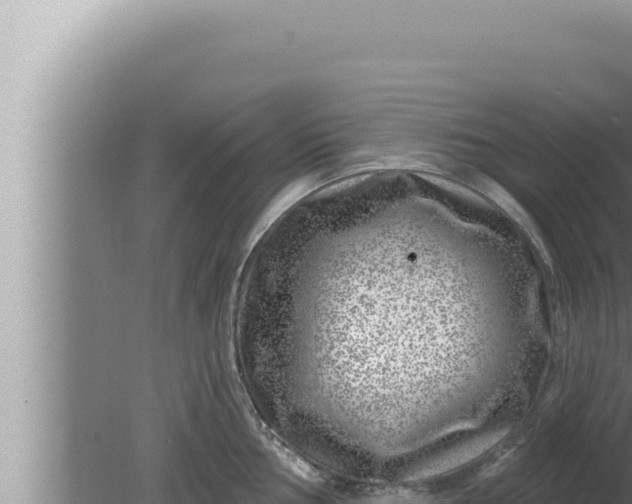 X0000080101002200612221734