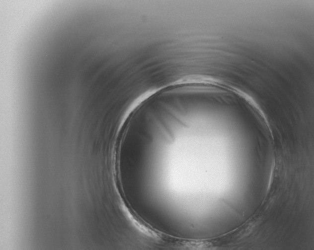 X0000080101003200612221734