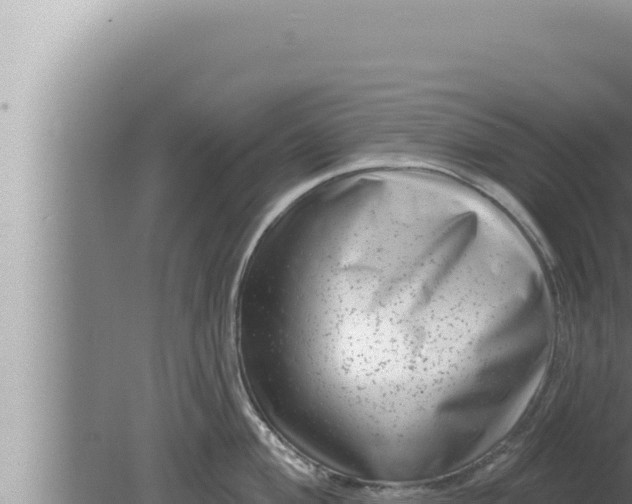 X0000080101004200612221734