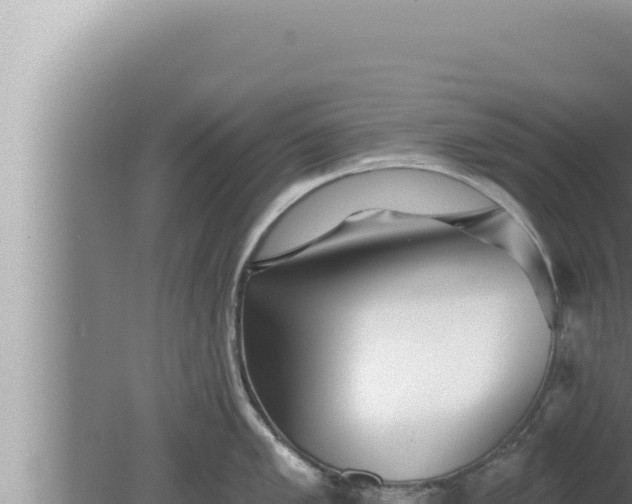 X0000080101005200612221734