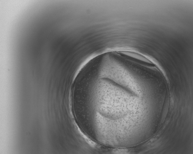 X0000080101006200612221734