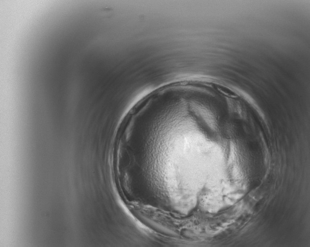 X0000080101007200612221734