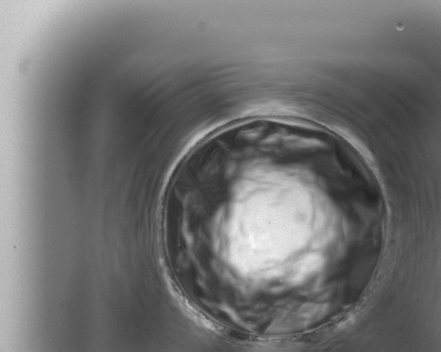 X0000080101008200612221734