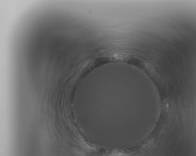 X0000080101009200612221733