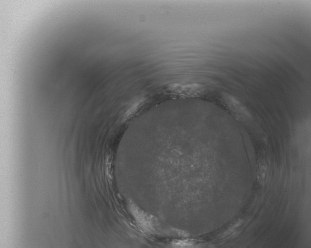 X0000080101010200612221733