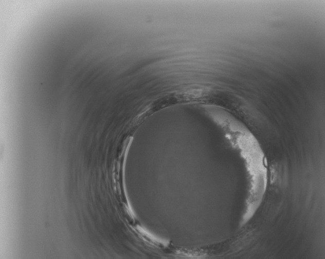 X0000080101011200612221733